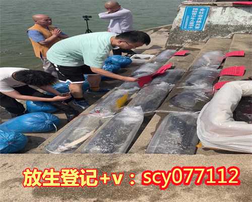 新站放生功德利益,新站哪个湖可以放生,新站代母亲放生可以吗