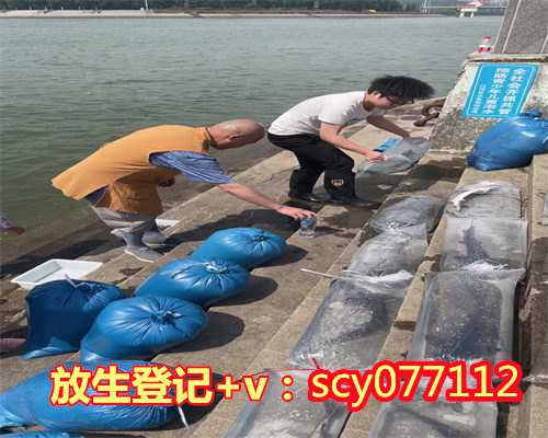 南宁三月三放生的好处,南宁哪里能放生乌龟,南宁放生治病的原理