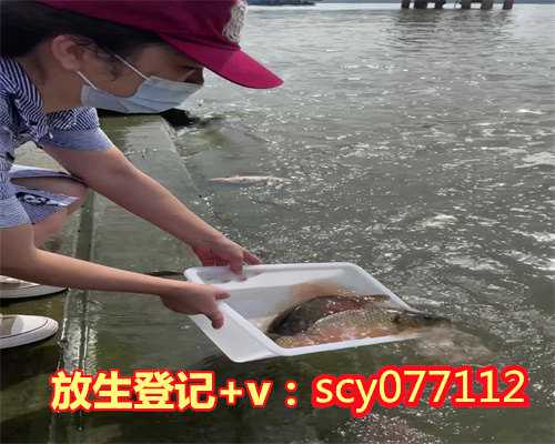 <b>乌龟放生不走可以带回来吗，巴西龟可以放生吗</b>