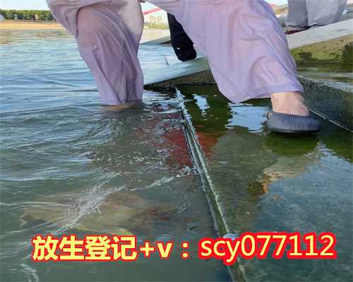 <b>莆田适合放生的莆田,莆田公园放生野生甲鱼【莆田放生群微信号是多少】</b>